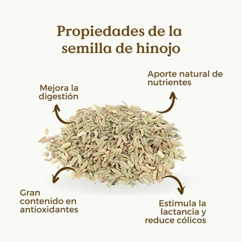 Replantea Semillas De Hinojo Ecológicas, 200 gr