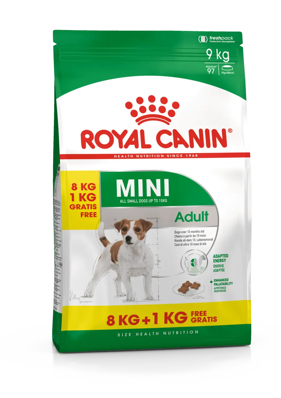 Royal Canin Adult Protein Exigent 2Kg, pienso para gatos