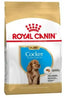 Royal Canin Junior Cocker 3Kg, pienso para perros