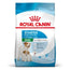 Royal Canin Starter Mini 4Kg, pienso para perros