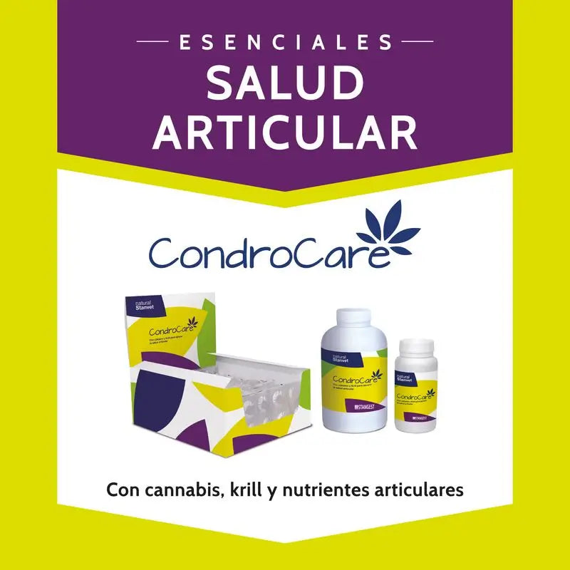 Stangest Condrocare 90 Comprimidos