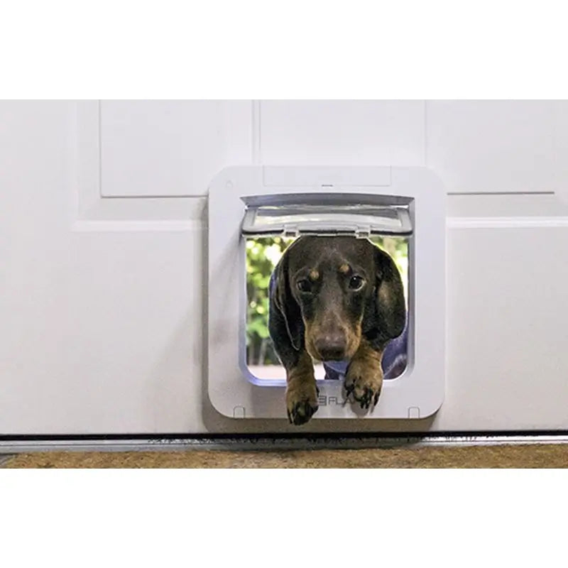 Sure PetCare SureFlap- Puerta Para Mascotas con Microchip Connect + Hub