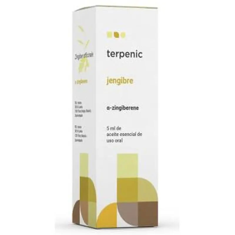 Terpenic Jengibre Aceite Esencial 5Ml