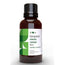 Terpenic Menta Campo Aceite Esencial Bio 30Ml.