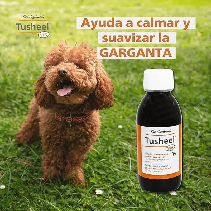 Heel Tusheel Veterinaria Jarabe Tos Perros y Gatos 150 ml