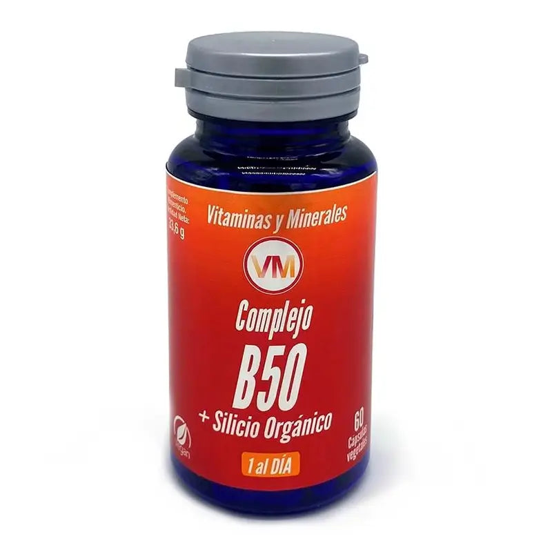 Ynsadiet Complejo B50 + Silicio 60Cap.