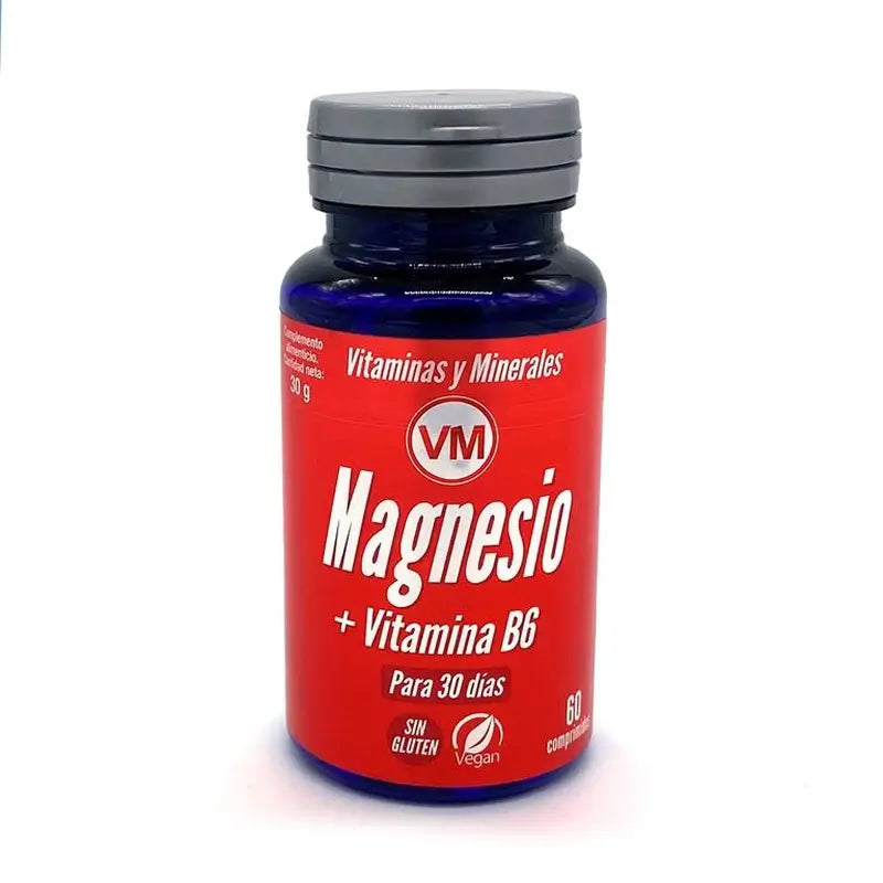 Ynsadiet Magnesio + Vit. B6 60Comp.