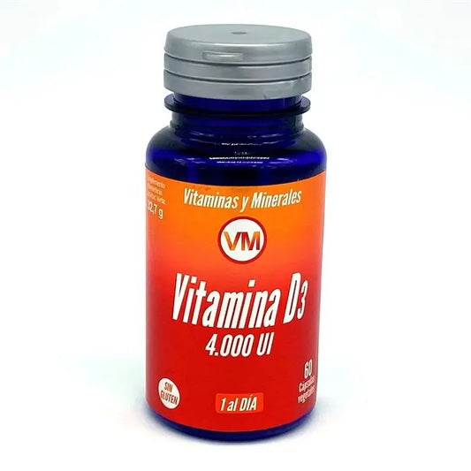 Ynsadiet Vitamina D3 4000Ui 60Cap.